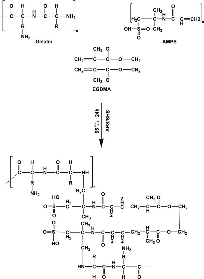 The proposed chemical structure of Gelatin-g-AMPS hydrogels.