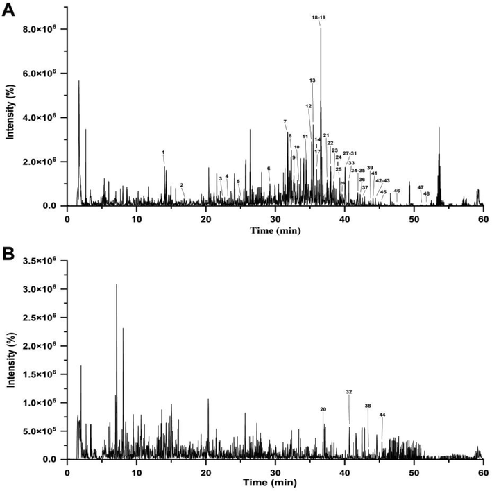 TWHF-SD chromatograms obtained using UHPLC-Q-TOF-MS in positive (A) and negative ionization modes (B).