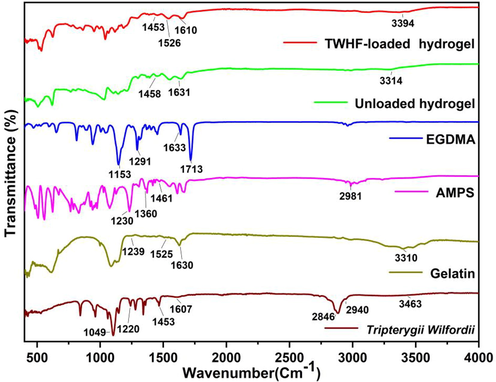 FTIR spectra of TWHF-SD, gelatin, AMPS, EGDMA, unloaded and TWHF-SD-loaded hydrogels.