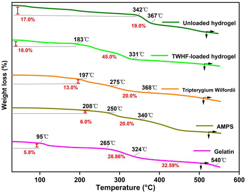 TGA thermograms of gelatin, AMPS, TWHF-SD, EGDMA, unloaded and TWHF-loaded hydrogels.