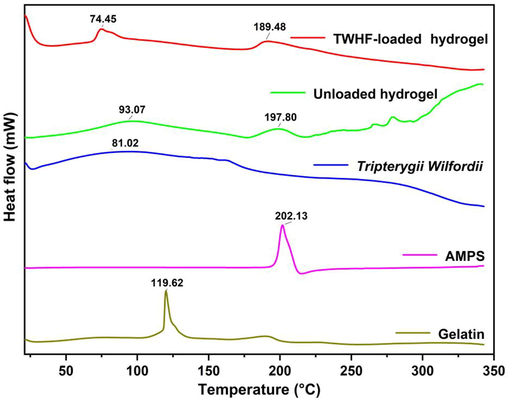 DSC thermogram of gelatin, AMPS, TWHF-SD, unloaded and TWHF-loaded hydrogels.