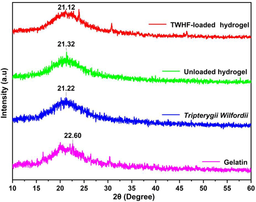 XRD patterns of gelatin, TWHF-SD, unloaded and TWHF-loaded hydrogels.