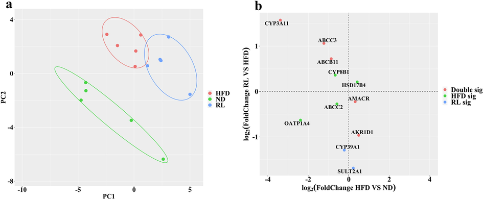 Alteration of bile acid metabolism-related enzymes and transporters induced by Rosiglitazone (RL) (1.2 mg/kg, i.g., qd). a Principal component analysis of bile acid metabolism-related proteins. (b) Variation analysis of enzymes and transporters induced by high-fat diet (HFD) and RL.