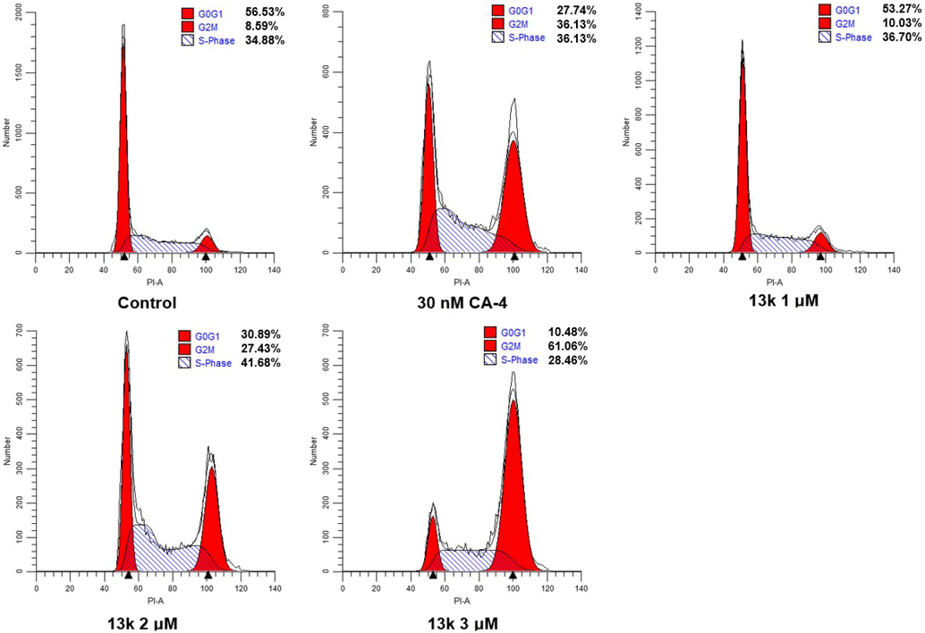 Effects of CA-4 and compound 13k on cell cycle. HeLa cell lines were treated with CA-4 (30 nM) and compound 13k (1 μM, 2 μM, and 3 μM) for 24 h.