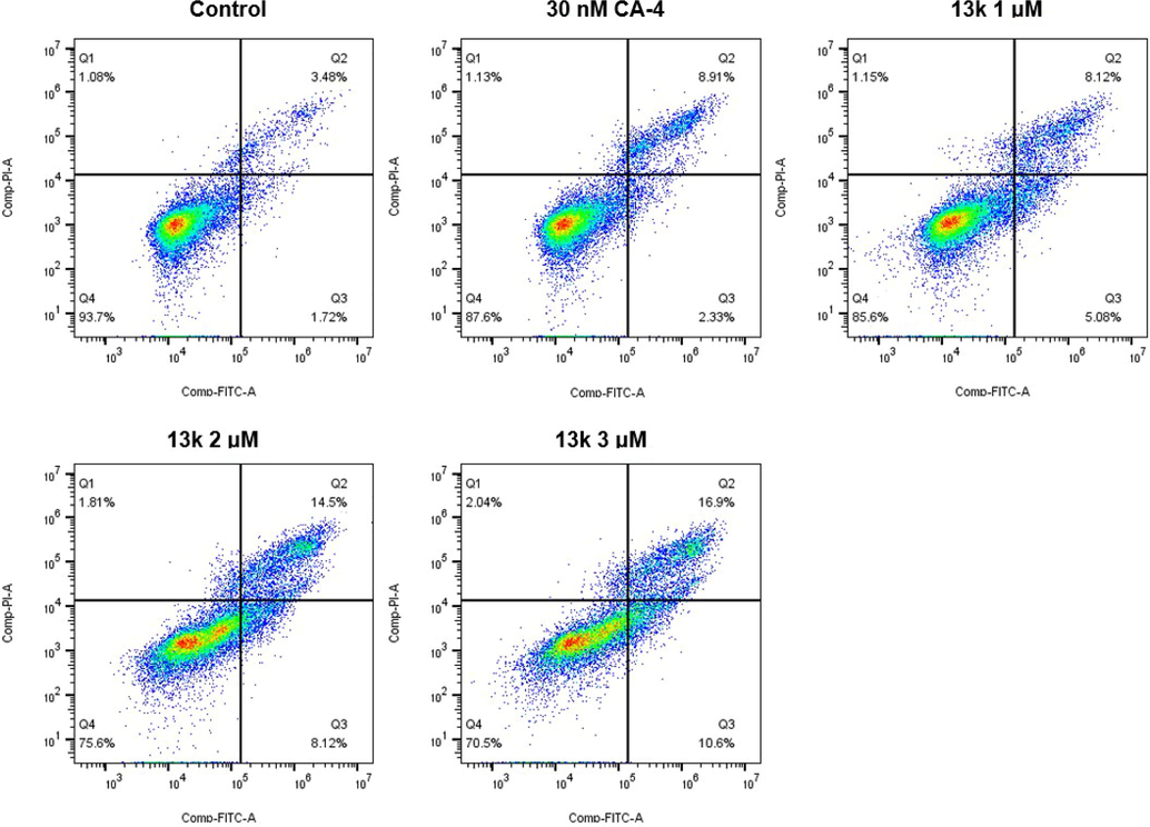 Analyses of apoptosis induction in Hela cells. Cells were harvested and stained with Annexin-V/PI for analysis after treatment with different concentrations of compound 13k (1, 2, and 3 μM) and control for 48 h. The diverse cell stages were given as live (Q4), early apoptotic (Q3), late apoptotic (Q2), and necrotic cells (Q1).