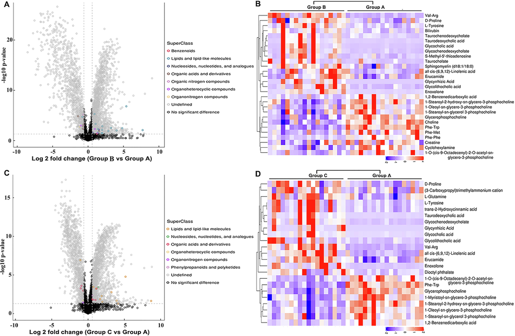 Bioinformatics analysis of the differentially expressed metabolites in POS mode. (A) Volcano plot representing the differences in protein abundance in the serum samples of healthy controls and patients infected with HBV genotype B (Groups B vs. A). (B) Hierarchical clustering of the 28 dysregulated metabolites between the serum samples of healthy controls and patients infected with HBV genotype B (Groups B vs. A). (C) Volcano plot representing the differences in protein abundance between the serum samples of healthy controls and patients infected with HBV genotype C (Groups C vs. A). (D) Hierarchical clustering of the 23 metabolites dysregulated between the serum samples of healthy controls and patients infected with HBV genotype C (Groups C vs. A).