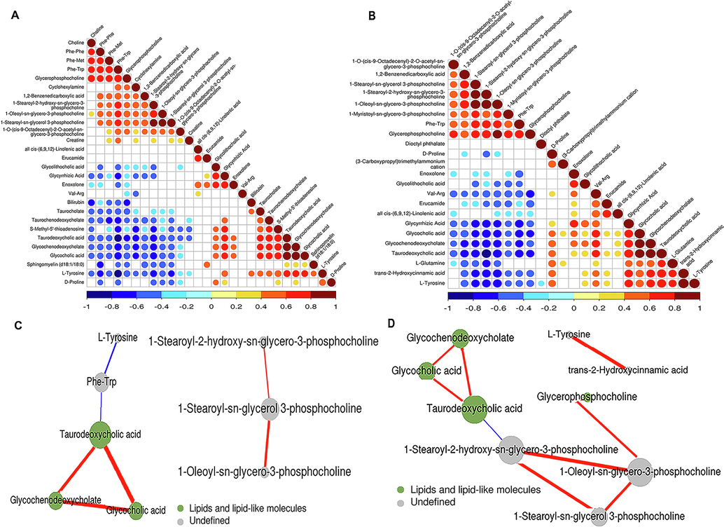 Correlation analysis of the differentially expressed metabolites in POS mode. (A) Heatmap of the results of correlation analysis of the 28 metabolites dysregulated between the serum samples of healthy controls and patients infected with HBV genotype B. (B) Heatmap depicting the results of correlation analysis of the 23 metabolites dysregulated between the serum samples of healthy controls and patients infected with HBV genotype C. (C) Predicted network of the metabolites that were differentially expressed between the serum samples of healthy controls and patients infected with HBV genotype B. (D) Predicted network of the metabolites that were differentially expressed between the serum samples of healthy controls and patients infected with HBV genotype C.