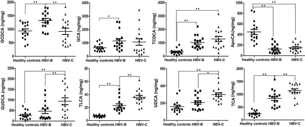 Validation of the selected differentially expressed metabolites in the serum samples from patients infected with HBV genotypes B and C by targeted metabolomics analysis of BAs in the validation cohort. The data are expressed as the mean ± standard error of the mean (SEM);n = 15, *P < 0.05, **P < 0.01.