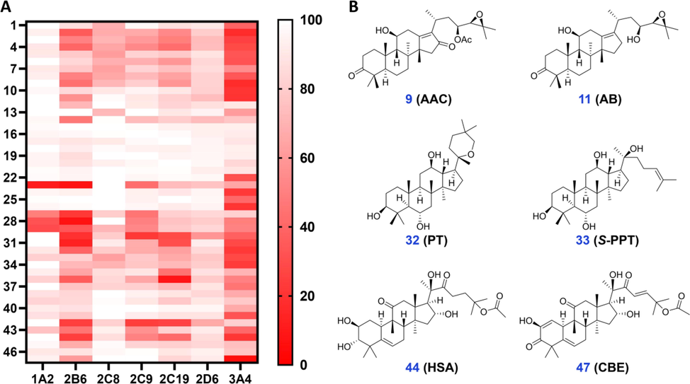 (A) A brief profile of inhibitory effects of tetracyclic triterpenoids (1–47) toward major human CYP isoforms in the human liver. (B) The representative tetracyclic triterpenoids exhibited strong inhibitory effects toward CYP3A4.