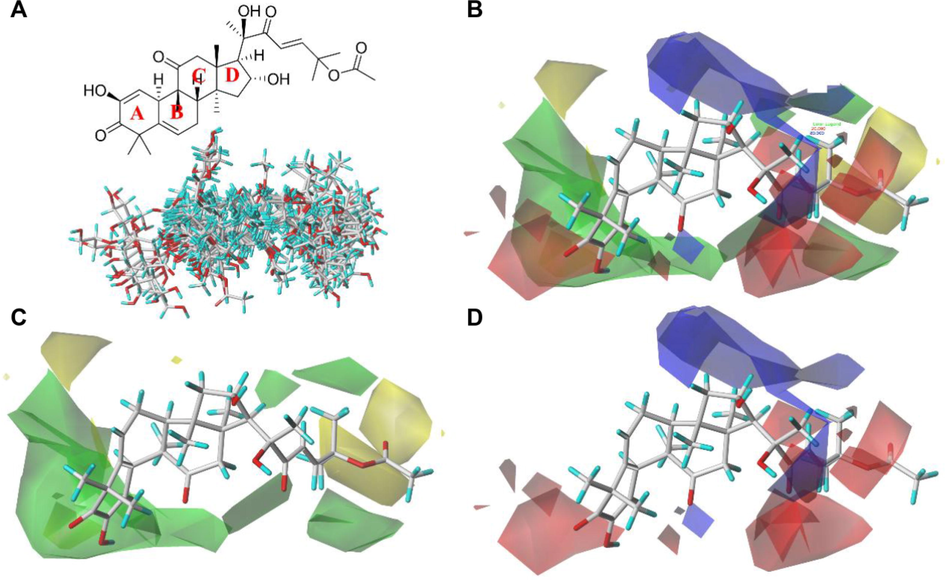 The 3D quantitative structure–activity relationship of the tetracyclic triterpenoids based on the ligands. (A) The conformational overlap of 47 tetracyclic triterpenoids with compound 47 as a template molecule. (B) Equipotential diagram of CoMFA model based on template molecule 47. (C) Stereo field equipotential map of CoMFA model. The favorable area of the stereo field is shown in green, and the unfavorable area is shown in yellow. (D) The electrostatic field equipotential diagram of the CoMFA model. The positively charged area is shown in blue, and the negatively charged area is shown in red.