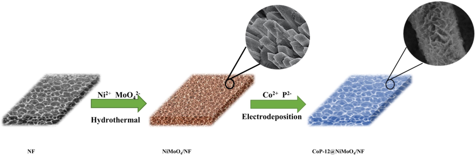 Schematic illustration for the preparation of the self-supported core-shell structure amorphous CoP-12@NiMoO4/NF electrode.