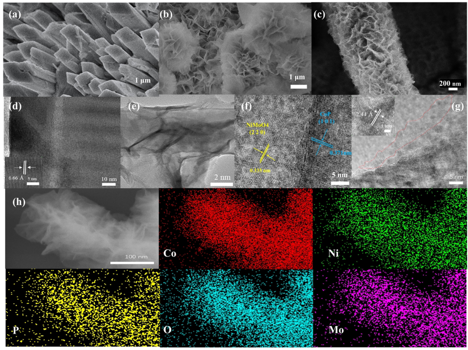 SEM images of NiMoO4/NF (a), CoP-12/NF (b), CoP-12@NiMoO4/NF (c). HRTEM image of NiMoO4/NF (d). TEM image of CoP-12@NiMoO4/NF (e), HRTEM image of CoP-12@NiMoO4/NF (f), CoP-12 /NF (g). EDS elemental mapping of CoP-12@NiMoO4/NF (h).