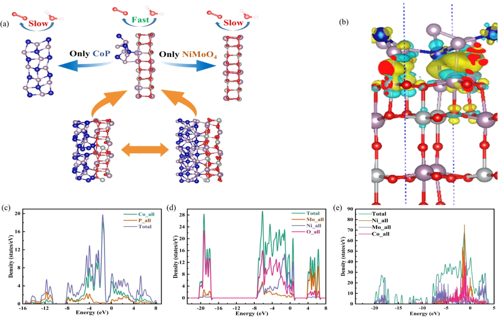 Schematic image of OER (a). The differential charge density image of CoP-12@NiMoO4/NF (b). The image of the density of states for CoP (c), NiMoO4 (d) and CoP-12@NiMoO4/NF (e).