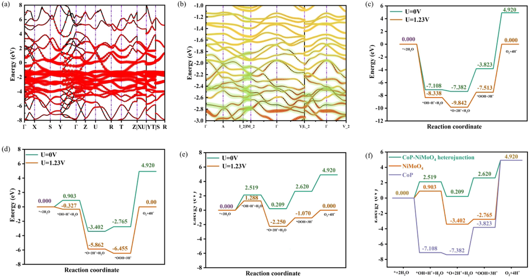 Band diagram and element projection of CoP (red is Co, black is P) (a) and NiMoO4 (red is Mo, yellow is Ni and purple is O) (b). Free energy diagram of OER intermediates for CoP (c), NiMoO4 (d) and CoP-NiMoO4 (e). Free energy diagram of OER intermediates at U = 0 V (f).