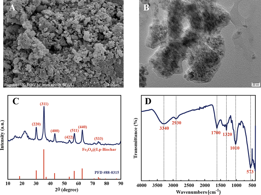 (A) SEM and (B) TEM images of magnetic biochar nanocomposite namely with Fe3O4/Lp-biochar derived from lemon (Citrus limon L.) peel waste. (C) XRD and (D) FTIR patterns of the Fe3O4/Lp-biochar.