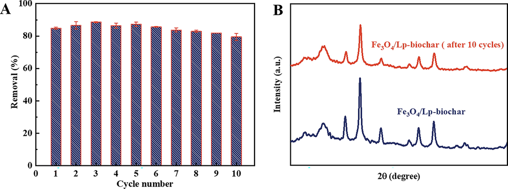 (A) Cycling performance of the Fe3O4/Lp-biochar for MB removal. (B) XRD patterns of the Fe3O4/Lp-biochar without adsorption and with MB adsorption after 10 adsorption–desorption cycles.