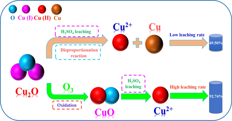 A proposed oxidation leaching mechanism for cuprite by ozonation in sulfuric acid solution.