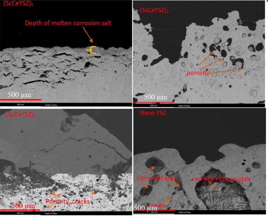 Cross-sectional FESEM image (Back scattering mode) of sintered samples after the hot corrosion test.