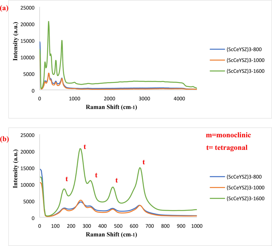 Raman spectra of (ScCeYSZ)3 powders at an annealing temperature of 800 °C, 1000 °C, and 1600 °C for 2 h (a) at a wavenumber of 100–4500 cm−1 (b) 100–1000 cm−1.