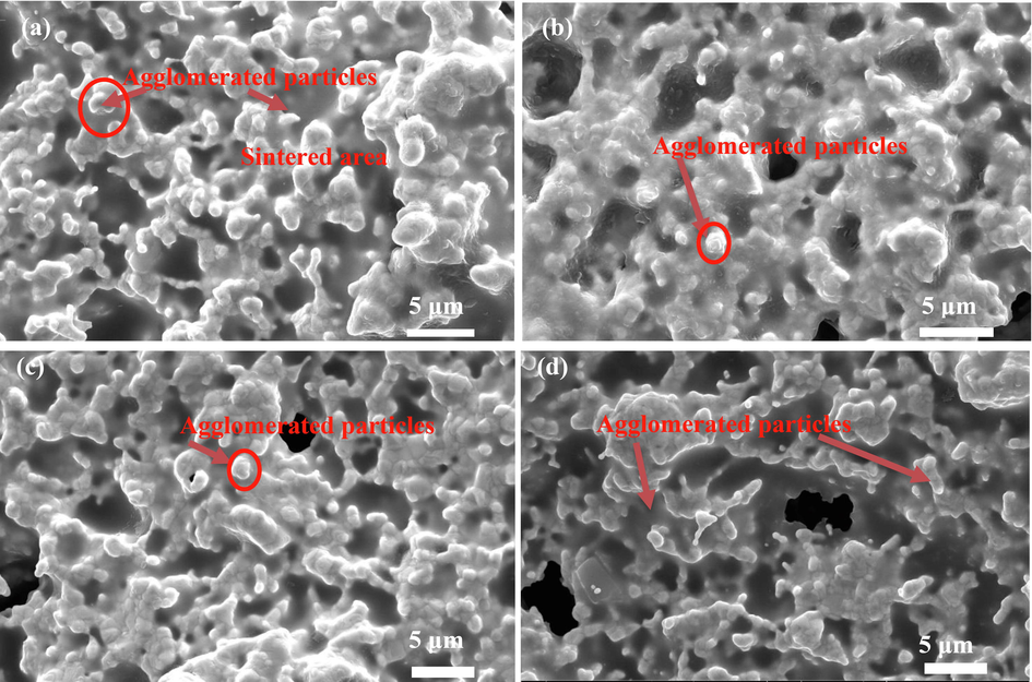 SEM image from the surface of sintered (a) (ScCeYSZ)1, (b) (ScCeYSZ)2, (c) (ScCeYSZ)3, and (d) nano8YSZ ceramics samples after annealing etching at 1400 °C for 4h.