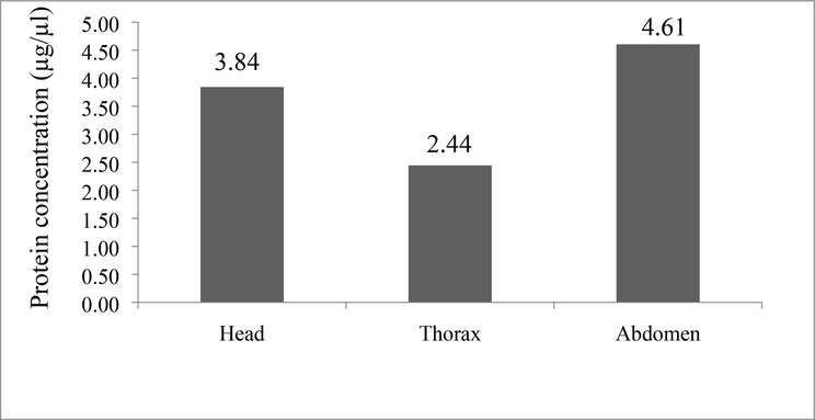 The protein concentration of ants body parts viz., head, thorax and abdomen estimated by Bio-Rad protein micro assay using Bovine Serum Albumin (BSA) at concentration of 2 mg/ml, OD595 using Bradford method.