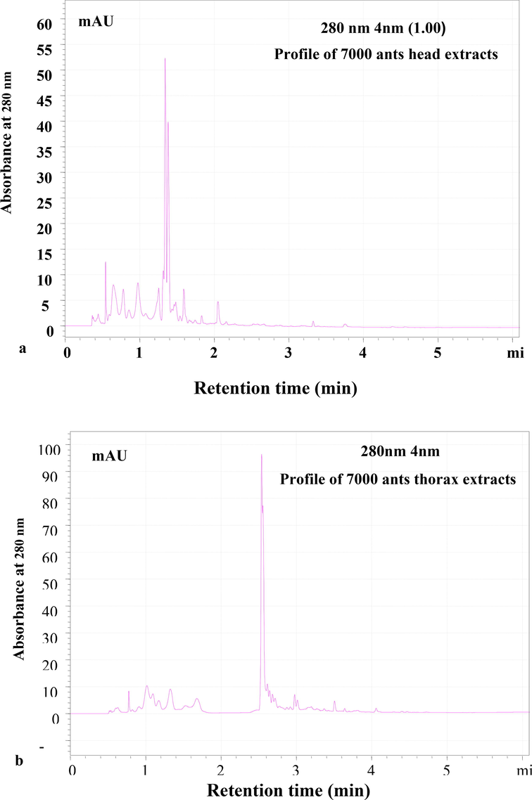 RP-HPLC profile of 7000 ants a. head extracts and b. thorax; Lyophilized extract was subjected to Reverse- Phase HPLC with gradient (0–5 % ACN for 5 min, 5–95 % for 50 min, 95 % ACN for 5 min and 95–5 % for 5 min) of Acetonitrile (ACN) and water containing 0.1 % TFA over 61 min at flow rate of 0.8 ml /min. Eluted peaks were monitored at 280 nm.