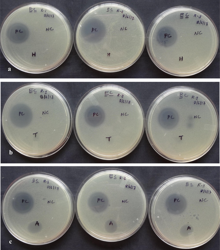 Antimicrobial activity of crude peptides a. head, b. thorax and c. abdomen of Trichomyrmex scabriceps using Escherichia coli (gram –ve bacteria) by spot on lawn bioassay method after 24 h of treatment (in vitro) (PC-Positive Control-Tetracycline 1 µg/1µl) (NC-Negative Control-Acetonitrile 50%), H-Head, T-Thorax and A-Abdomen.