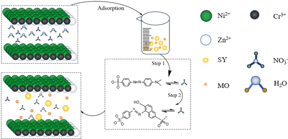 Illustration of adsorption of ZnCrNi-LDHs.