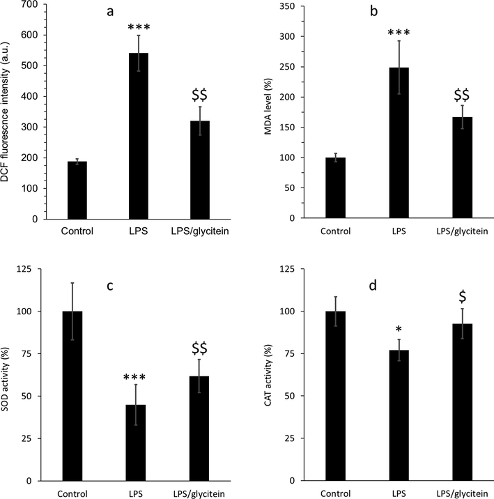 (a) The evaluation of intracellular ROS level using DCF fluorescence test in cultured spinal cord neurons after 24 h treatment with LPS (100 ng/mL)without or with co-treatment with glycitein (5 µM). (b) The investigation of lipid peroxidation using MDA assay in cultured spinal cord neurons after 24 h treatment with LPS (100 ng/mL) without or with co-treatment with glycitein (5 µM). (c) The investigation of SOD activity in cultured spinal cord neurons after 24 h treatment with LPS (100 ng/mL) without or with co-treatment with glycitein (5 µM). (d) The investigation of CAT activity in cultured spinal cord neurons after 24 h treatment with LPS (100 ng/mL) without or with co-treatment with glycitein (5 µM). Each data expresses the mean ± SEM (n = 3). * p < 0.05, and *** p < 0.001, significant difference versus negative control cells; $ p < 0.05 and $$ p < 0.01, significant difference versus LPS-treated group.