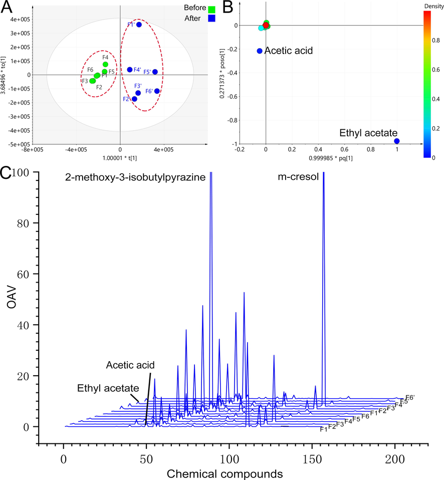 Multivariate statistical analysis results of volatile components of PEF before and after fermentation, OPLS-DA results before and after fermentation (A), loading scatter plot (B), and odor intensity characteristic spectrum (C).