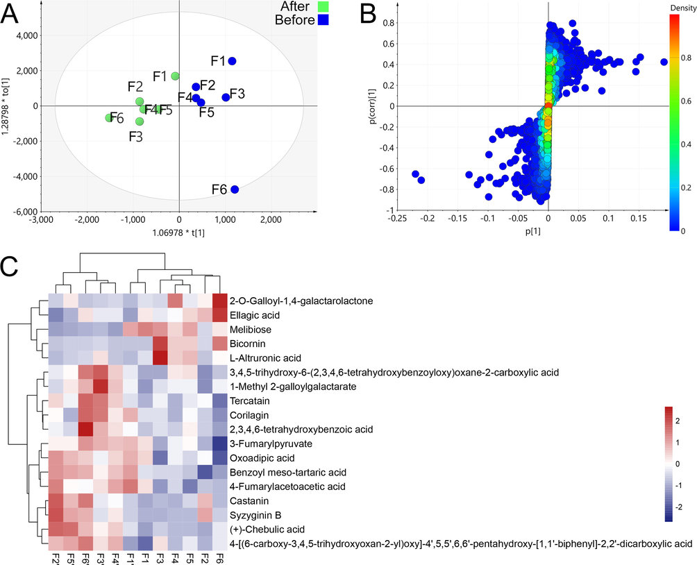 Multivariate statistical analysis results before and after pile-fermentation, OPLS-DA analysis result (A), s-plot results (B), and heatmap of changes in the content of differential compounds (C), (F ' represent samples after pile-fermentation).