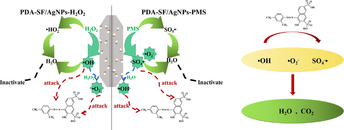 Potential mechanisms for degradation.