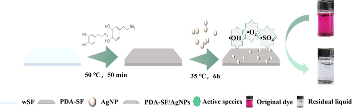 Preparation process of PDA-SF/AgNPs.