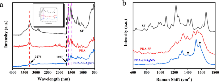 (a) FTIR and (b) Raman spectrum of of SF, PDA-SF and PDA-SF/AgNPs.