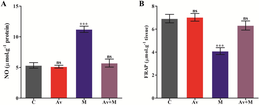 Effect of A. vera extract and malathion on the levels of NO (A) and FRAP (B) in rat brain. The treatment procedures of A. vera extract and malathion and the assay of NO and FRAP were same as indicated in Materials and Methods. The unit for the NO was expressed as μmol.g−1 of protein. The FRAP was stated as μmol.g−1 of tissue. The data represented as mean ± SD of three distinct experiments. The values were significant at P < 0.05 compared to control.