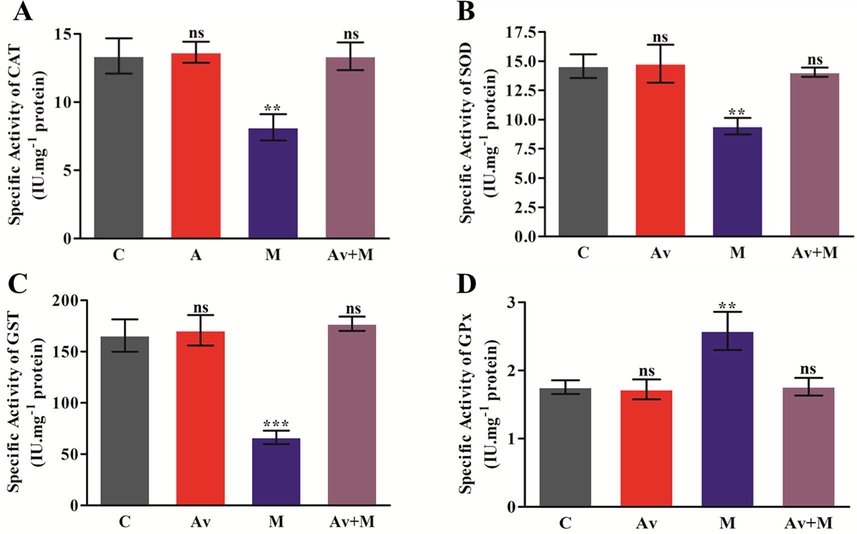 Effect of A. vera extract and malathion on the activity of CAT (A), SOD (B), GST (C) and GPx (D) in rat brain. The treatment procedures of A. vera extract and malathion and the assay of CAT, SOD, GST and GPx activity were same as described in Materials and Methods. The activity unit was stated as IU.mg−1 protein. The data represented as the mean ± SD of three distinct experiments. The data were significant at P < 0.05 as compared to the control.