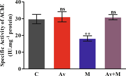 Effect of A. vera extract and malathion on the activity levels of AChE in rat brain. The treatment procedures of A. vera extract and malathion and the activity assay of AChE was the same as indicated in Materials and Methods. The activity units were stated as IU.mg−1 protein. The data represented as mean ±SD of three distinct experiments. The data were significant at P < 0.05 as compared to the control.