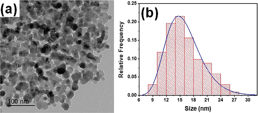 (a) TEM photomicrograph of the ZnO NPs prepared via sol–gel (b) histogram distribution of the ZnO NPs’ particle size.