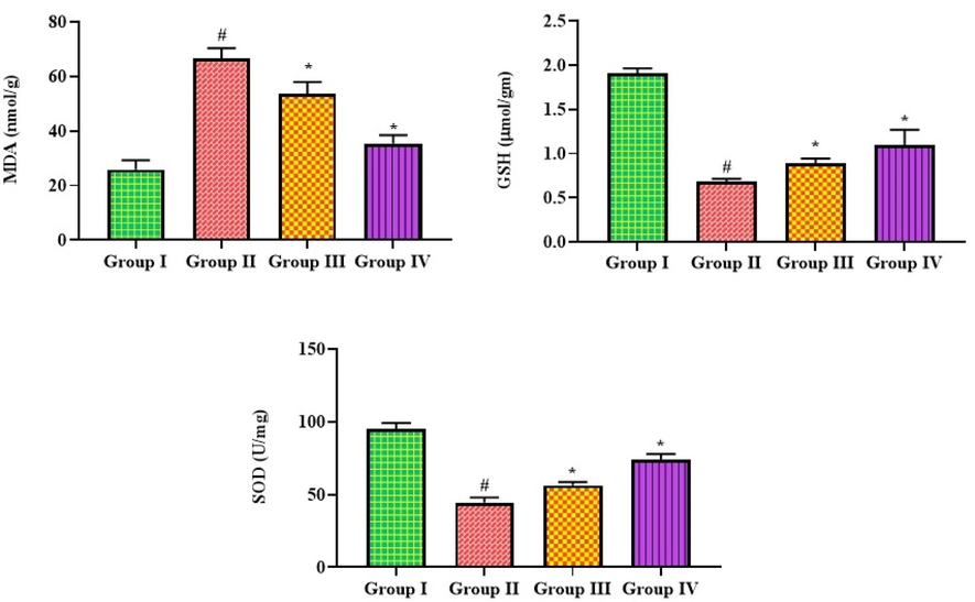 Effect of bakuchiol on the antioxidants and MDA level in the lung tissues of pneumonia-induced mice. The results were shown as the mean ± SD of three independent tests. One-way ANOVA and Tukey's post hoc test were used for statistical analysis of the data. An asterisk (#) denotes a significant difference (p < 0.01) from the control group, while a (*) denotes a significant difference (p < 0.05) from pneumonia mice. Note. Group I. Control mice; Group II. Pneumonia-induced mice; Group III. Pneumonia + Bakuchiol (25 mg/kg)-treated mice; Group IV. Pneumonia + Standard drug azithromycin (100 mg/kg)-treated mice.