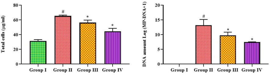 Effect of bakuchiol on the total cells and DNA amount in the lung tissues of pneumonia-induced mice. The results were shown as the mean ± SD of three independent tests. One-way ANOVA and Tukey's post hoc test were used for statistical analysis of the data. An asterisk (#) denotes a significant difference (p < 0.01) from the control group, while a (*) denotes a significant difference (p < 0.05) from pneumonia mice. Note. Group I. Control mice; Group II. Pneumonia-induced mice; Group III. Pneumonia + Bakuchiol (25 mg/kg)-treated mice; Group IV. Pneumonia + Standard drug azithromycin (100 mg/kg)-treated mice.