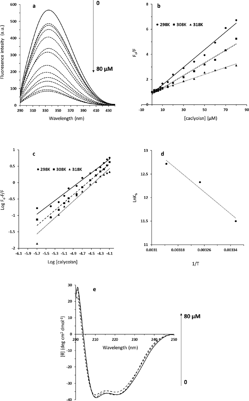 (a) The fluorescence spectra of HSA (2 μM) interacted with different concentrations of calycosin (λex = 280 nm) at 298 K. The concentration of calycosin was 0–80 μM from the top to the bottom with the concentration intervals of 0, 2, 4, 6, 8, 10, 15, 20, 30, 40, 50, 60, 70, 80 μM. (b) Stern-Volmer plot for the interaction of calycosin and HSA. (c) Modified Stern-Volmer plot for the interaction of calycosin and HSA. (d) van't hoff plot for the interaction of calycosin and HSA. (e) Circular dichroism study for the interaction of calycosin and HSA.