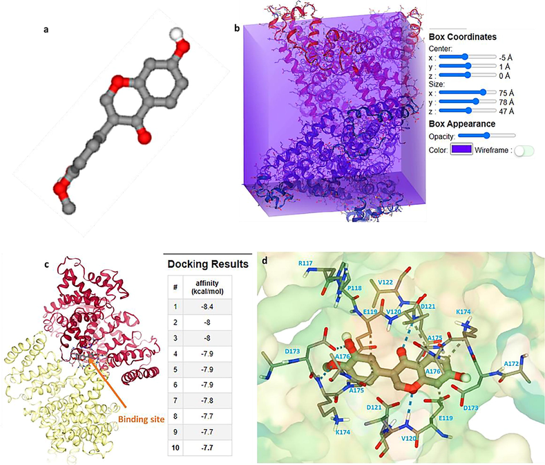 (a) The structure of calycosin, (b) box coordinates for interaction of HSA and calycosin, (c) binding pocket of HSA after interaction with calycosin, (d) amino acid residues presented in the binding pocket.