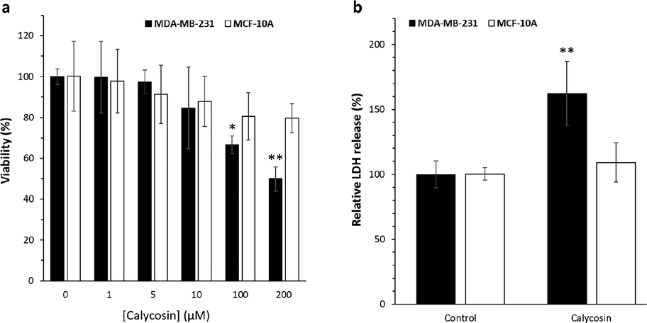 Cell viability and membrane leakage assay by calycosin incubation. Breast cancer MDA-MB 231 cells were incubated with calycosin with 200 µM concentrations for 48 h. (a) The cell viability assay determined by MTT assay, (b) the cell membrane leakage determined by LDH assay. Data were expressed as mean ± SD, in three assays. Compared to the control group, *P < 0.05 and **P < 0.01.