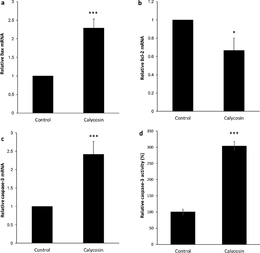 Apoptosis induction by calycosin incubation. Breast cancer MDA-MB 231 cells were incubated with calycosin with 200 µM concentrations for 48 h. (a) The expression of Bax mRNA as determined by quantitative real-time PCR, (b) the expression of Bcl-2 mRNA as determined by quantitative real-time PCR, (c) the expression of caspase-3 mRNA as determined by quantitative real-time PCR, (d) caspase-3 activity assay. Data were expressed as mean ± SD, in three assays. Compared to the control group, *P < 0.05 and ***P < 0.001.