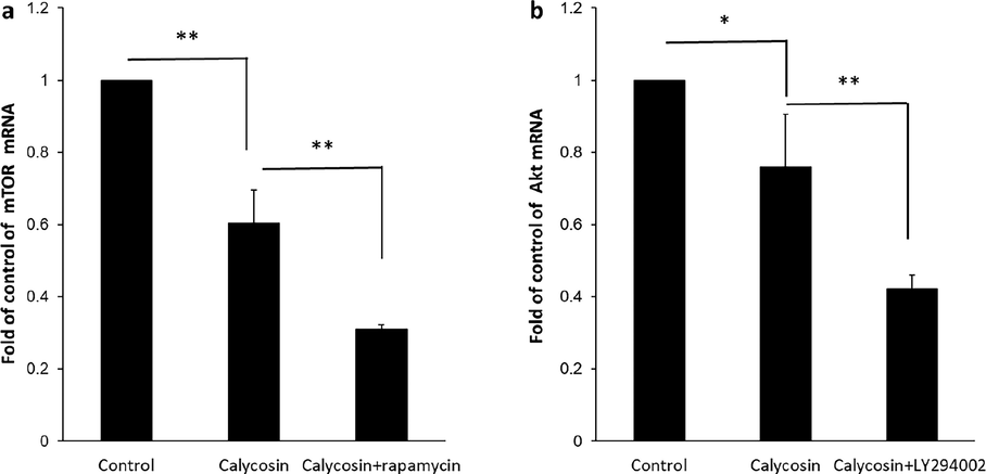 Signal transduction study by calycosin incubation. Breast cancer MDA-MB 231 cells were incubated with calycosin with 200 µM concentrations for 48 h. Also, the treated cells were pre-treated with rapamycin (40 µM) or LY294002 (20 µM) for 4 h. Control cells did not receive any treatment. (a) The expression of mTOR mRNA, (b) the expression of Akt mRNA, analyzed by the quantitative real-time PCR assay. Data were expressed as mean ± SD, in three assays. Compared to the control group, *P < 0.05 and **P < 0.01.