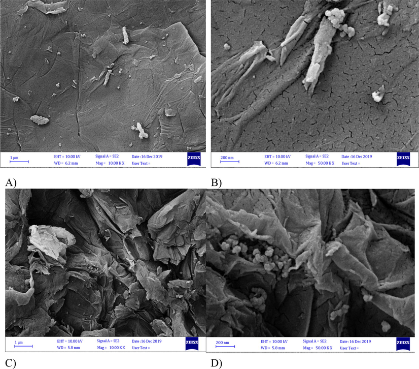 Scanning electron micro-graphs of the GO (A and B) and GO-ZnO nanocomposite (C and D); Transmission electron micrographs with a magnification of 10.00 KX (A and C) and 50.00 KX (B and D).