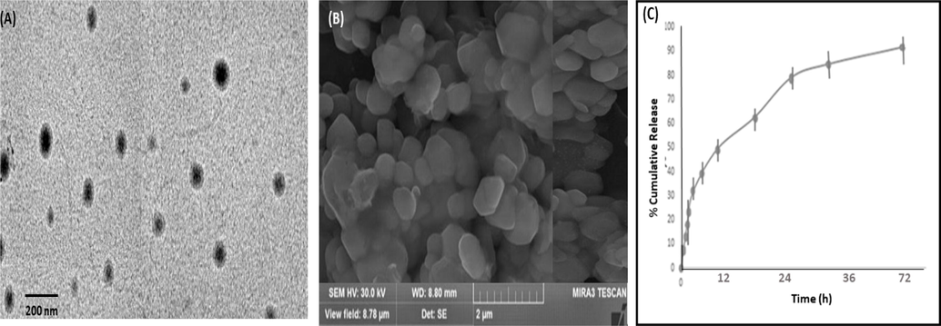 Microscopic image (A) TEM photomicrographs of IVB-NLCs, scale bar represents at 200 nm (B) SEM image of IVB-NLCs (C). In-vitro drug release profile of IVB-NLCs.