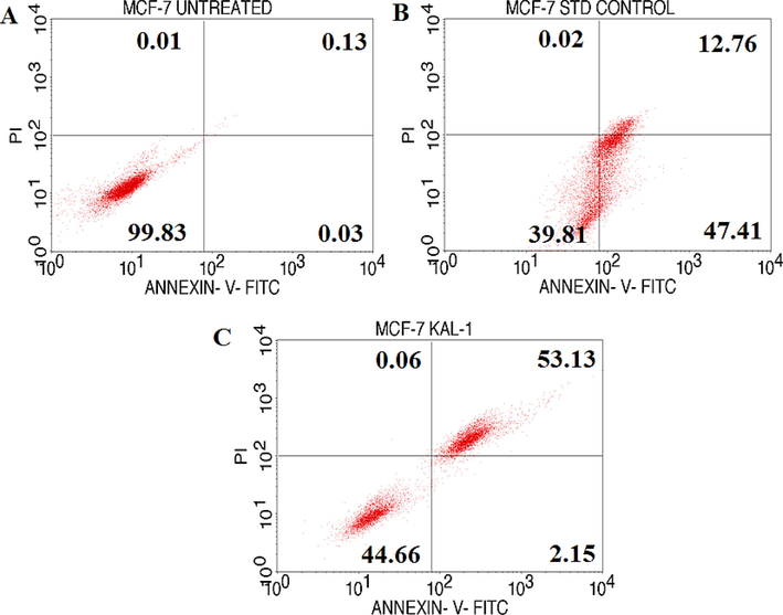 Quadrangular figure illustrating the Annexin V/PI expression in MCF-7 cells upon culture in the presence and absence of test chemical, GA coupled with std control. Cell Quest Pro and BD FACScalibur were used for the analysis. (Version: 6.0). Here, Annexin V- FITC - Primary Marker, PI- Propidium Iodide (Secondary fluorescence Marker) A-MCF-7 Untreated, B-MCF-7 std control, C-MCF-7 hydroalcoholic extract of S.isoetifolium. Lower left: % Viable Cells; Upper left: % of Necrotic Cells; Lower right: % of Early apoptotic cells; Upper right: % Late Apoptotic Cells.