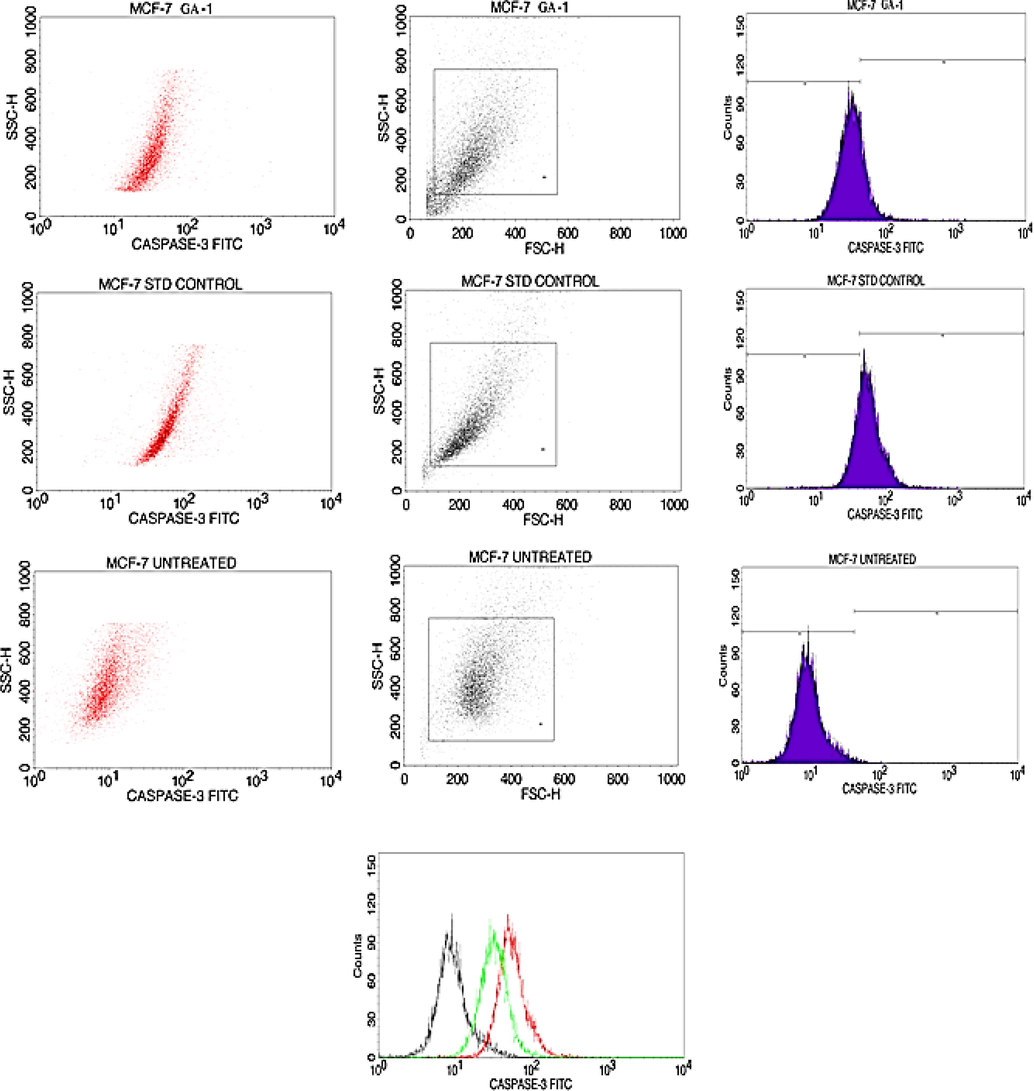 Hydroalcoholic extract of S.isoetifolium induces apoptosis via Caspase-3 activation in MCF-7 cells.