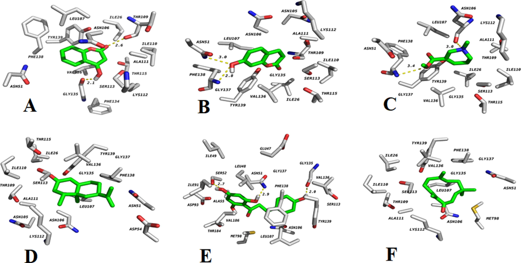 Interaction of 4-Hydroxycoumarine (A), 7-Hydroxycoumarine (B), Arecoline (C), Nookatone (D), Phloretin (E), and Zerumbone (F) with HSP90.